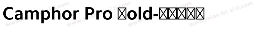 Camphor Pro Bold字体转换
